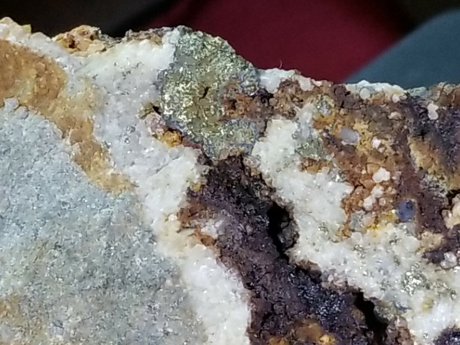 Amazing Colorado MOTHERLODE GOLD IN QUARTZ Ore Display specimen 7lb