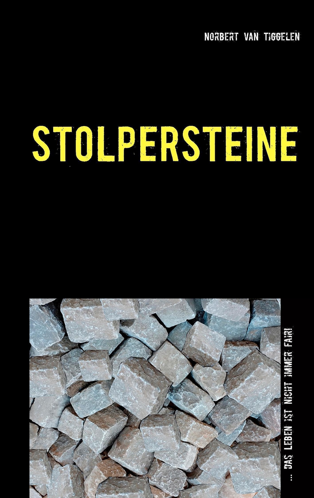Thumbnail - Stolpersteine | ... Das Leben Ist Nicht Immer Fair | Norbert Van