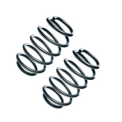 2 front coil springs OE Replacement 2-R10668 for FIAT Stilo, Stilo Multi Wagon s