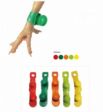 Rubber Rooster Chicken Muffs, Gloves Rubber, Guantes de Goma(4 gloves total) 