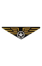 Aviator Airline Pilot Wings Pin Badge Top Gun Stag Fancy Dress