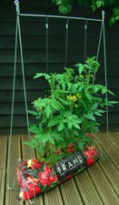 Tomato Pea Grow Frame Planter Vegetable Plant Growing Bag Garden Support 1.2m 🍅