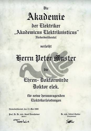 Diplom Urkunde Ehren Doktor Titel Elektriker Elektrik Strom - Bild 1 von 1