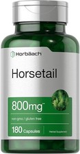 Horsetail Herb Capsules 800mg  180 Count  Non-GMO, Gluten Free Herb Extract  
