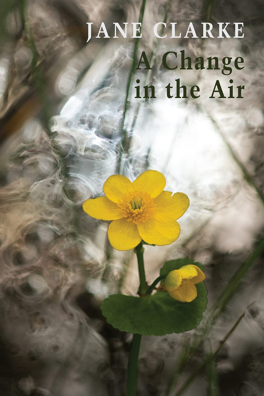 A Change in the Air by Jane Clarke (Paperback Book) - Image 7
