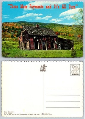 Continental Rustic Cabin Humor Postcard