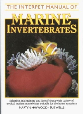 Interpet Manual of Marine Invertebrates,Martyn Haywood, Sue Well