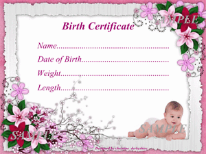 PINK FLORAL BABY BIRTH CERTIFICATE/CERTIFICATES 4 REBORN ...
