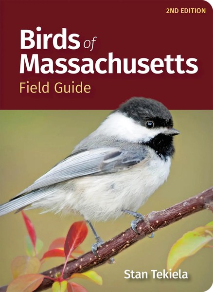 Birds Of Massachusetts Field Guide | Stan Tekiela | Englisch | Taschenbuch-image
