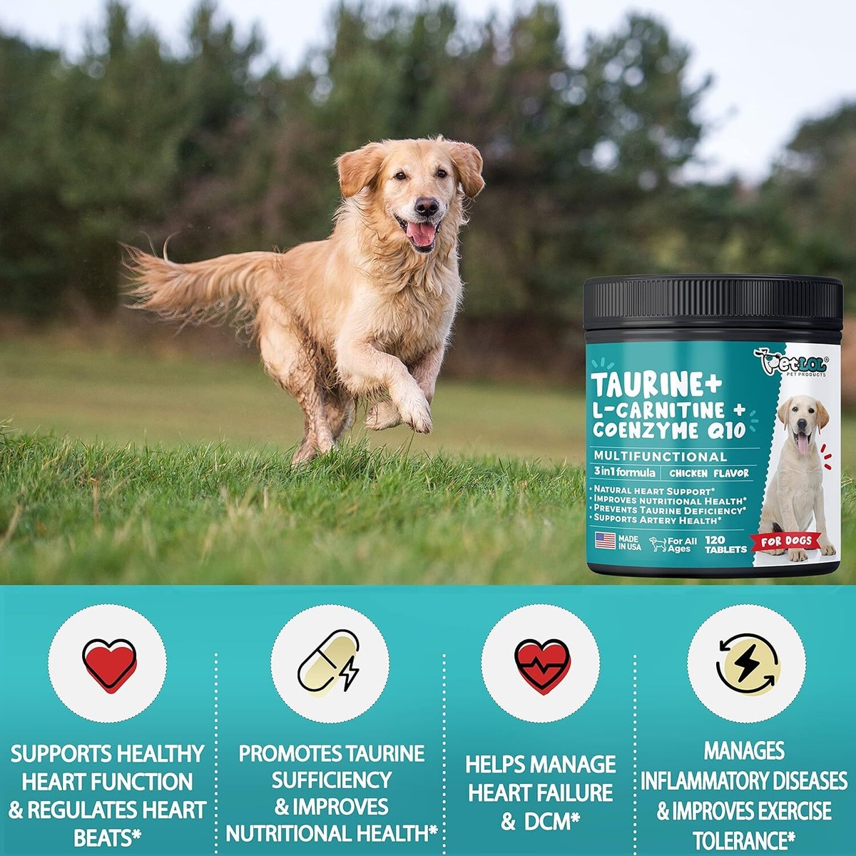 Taurine Supplement for Dogs with L-Carnitine and Coenzyme Q10
