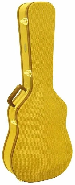 Mbt sales guitar case
