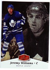 2006-07 Flair Showcase #94 Jeremy Williams RC - HKY