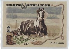 2019 Topps Allen & Ginter Mares and Stallions Irish Cob Horse #MS-13 0j6