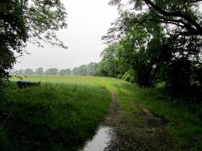 Photo A2 Field by Long Bank Farm Halton West Seen from Long Bank Lane -  c2012