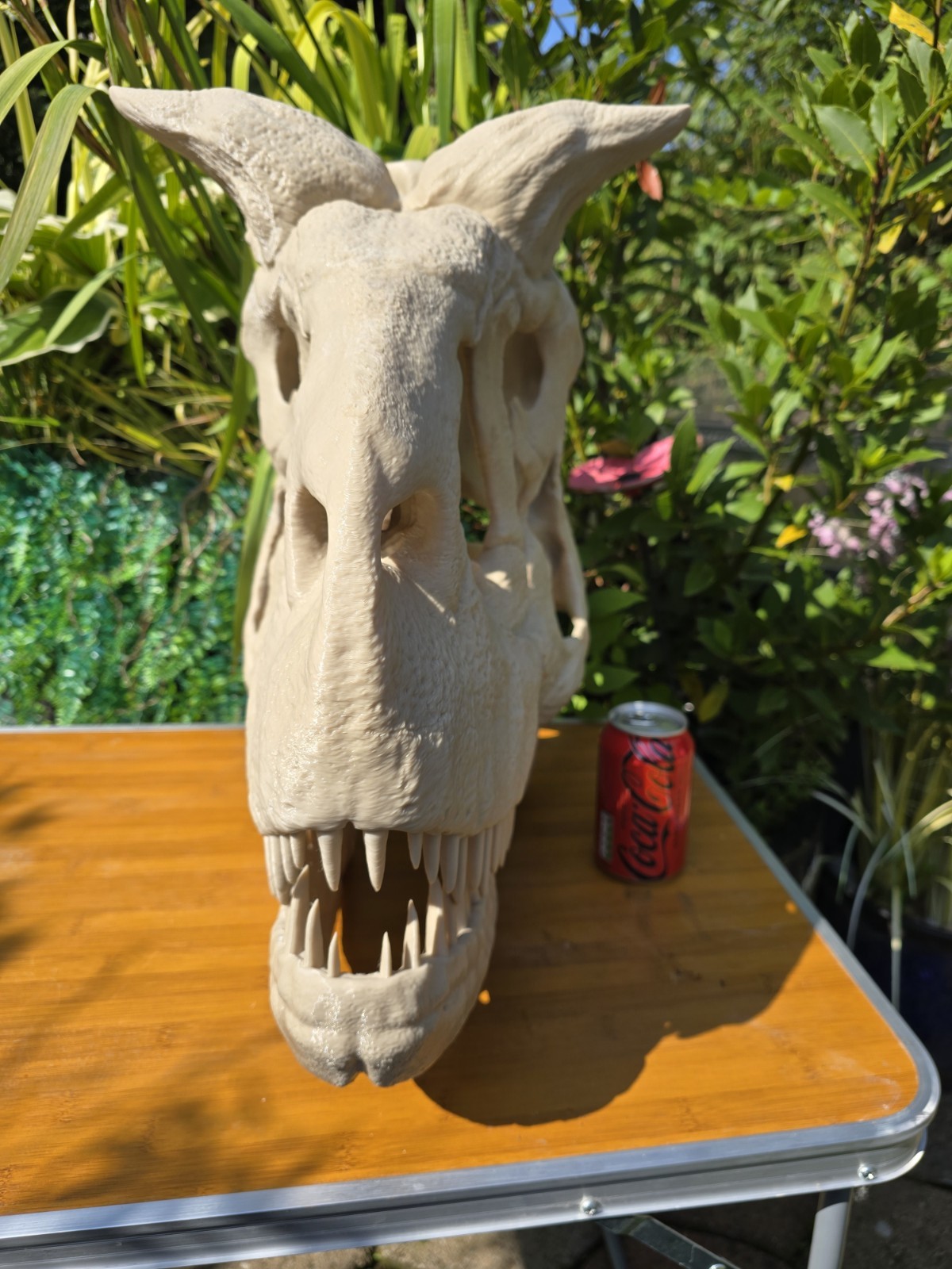 Life-size CARNOTAURUS skull Replica, Fossil