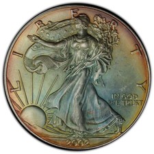 American Eagle Ungraded 2002 Silver Bullion Coins for sale | eBay