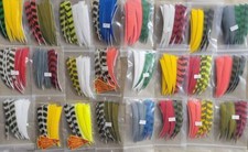 Trueflight Feathers 5 inch Shield Cut Combo Pack LW or RW - 12 Solid/ 6 Barred