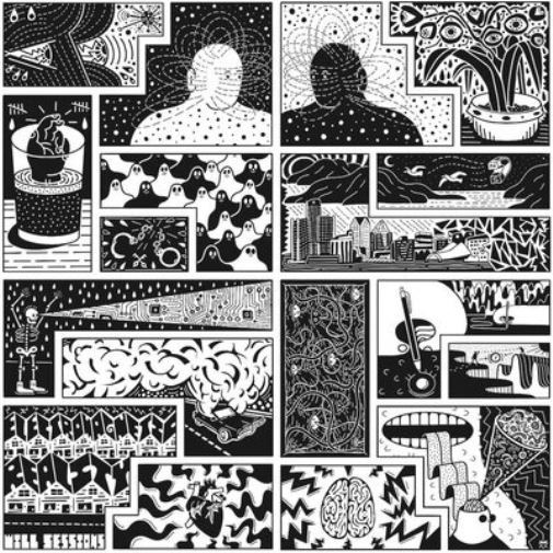 Will Sessions Electromagnetic Reality (Vinyl LP) 12" Album