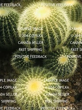 Digital Image Picture Photo Wallpaper Background Natural Desktop Art # 222