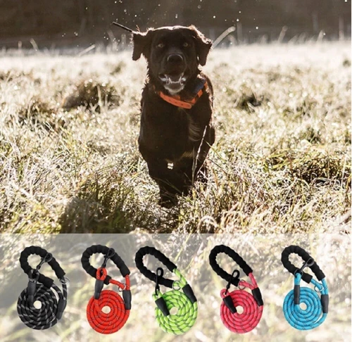5 FT Dog Rope Leash - Reflective Nylon Lead, Training Padded Handle for Puppies - Picture 72 of 82