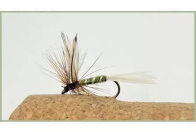 BARBLESS Trockenforellenfliegen, 6er Pack Olivenspinner, Größenwahl, beste Trockenfliege