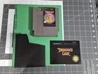 Dragon's Lair NES Game W/Manual