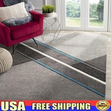 Modern Accent Rug Non-Shedding Stain Resistant Easy Care High Traffic Areas New