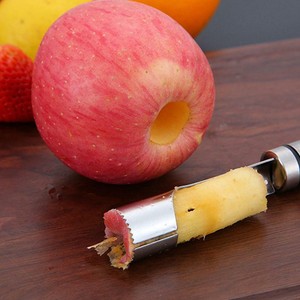 Steel Twist Fruit Hawthorn Jujube Pear Core Seed Remover Tools Ebay