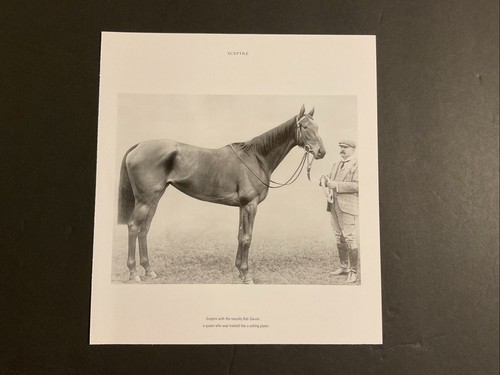 FOTO DE CETRO Carreras de Caballos CAMPEÓN BRITÁNICO 1902 EPSOM DERBY
