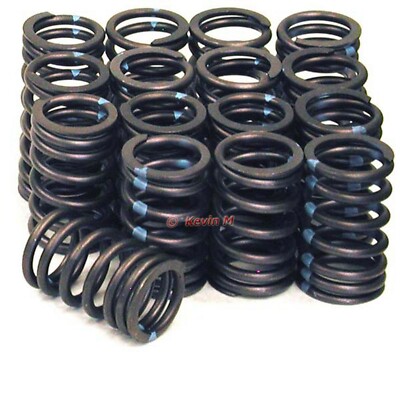 New Set of 16 Valve Springs Fits Ford Y-Block 239 256 272 292 312 Engines