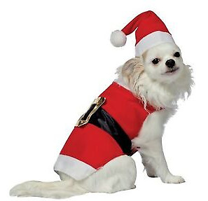 Santa Dog Costume with Hat Rasta Impasta Size Small Fits 8-13 lbs