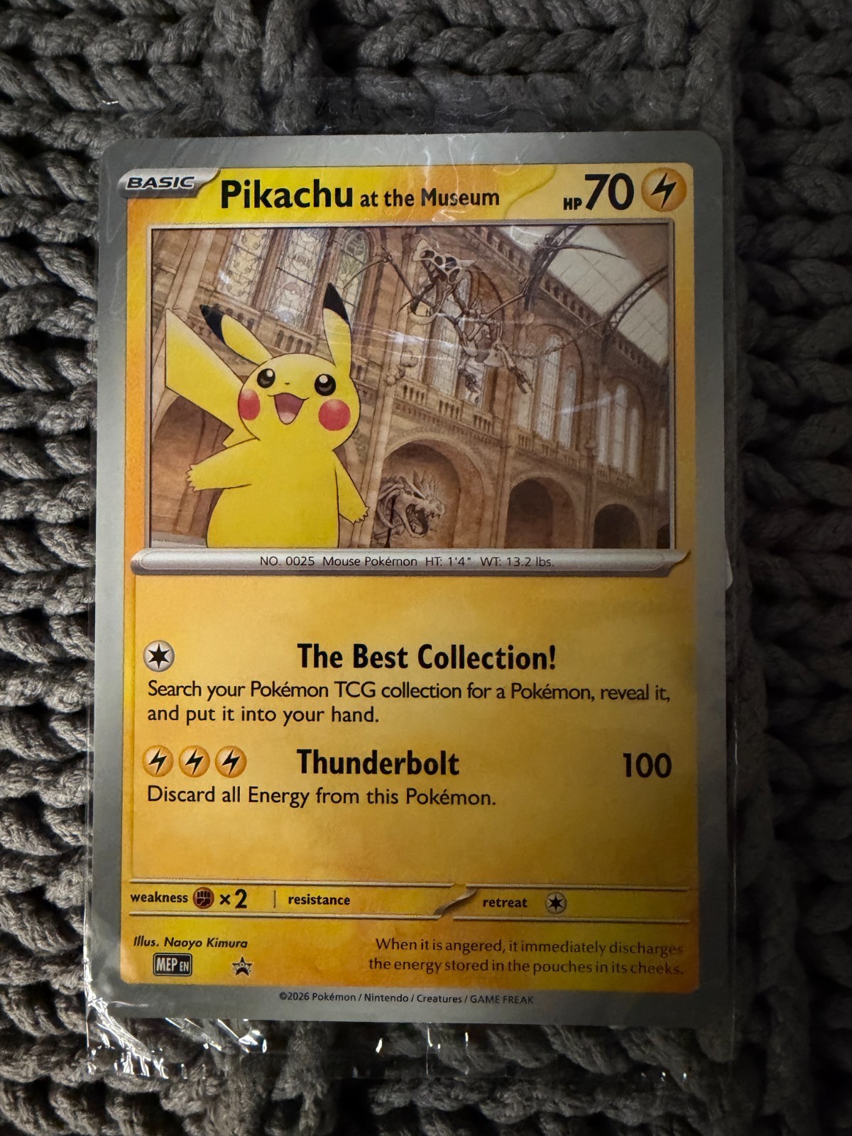 Pokemon Pikachu at the Museum Card | Sealed Brand New