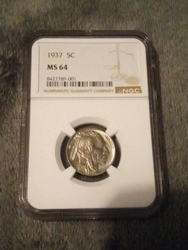 1937-P Buffalo Nickel NGC MS64