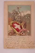 Switzerland Coat of Arms Edelweiss Raphael Tuck Cardiff 1902 Undivided Back