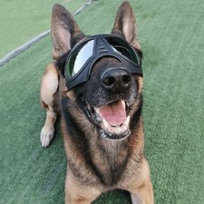 Foldable Dog Goggles Sunglasses for Medium Large Pet Dog UV Windproof Protection