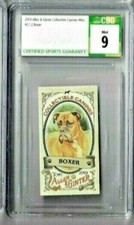 2019 Allen & Ginter Collectible Canines English Boxer Mini CSG 9