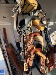 Four Saddle Rack(saddles Not Included)