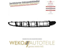 Lüftungsgitter, Stoßfänger DIEDERICHS 1680145 für MERCEDES-BENZ