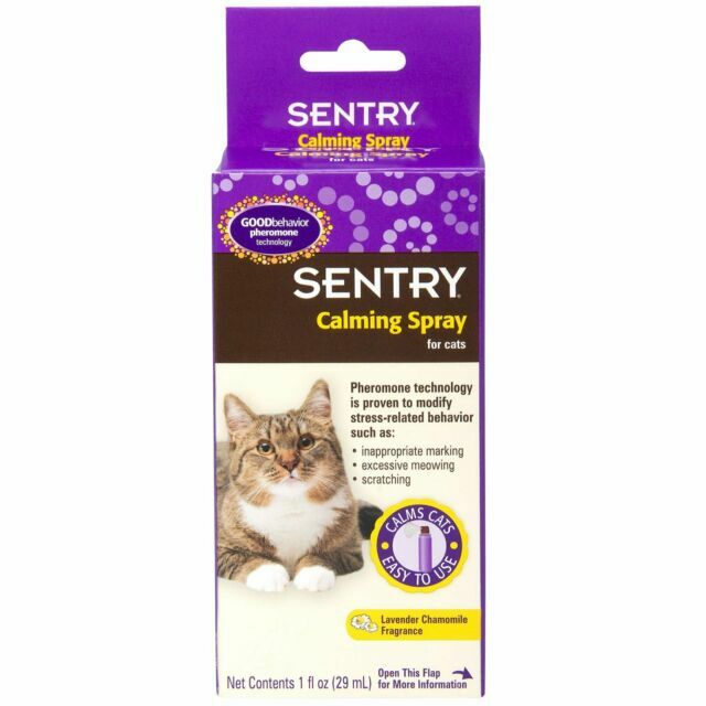 cat relaxing pheromone