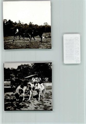 40057200 - 4354 Ahsen Pony Riding