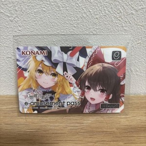 E Amusement Pass | eBay