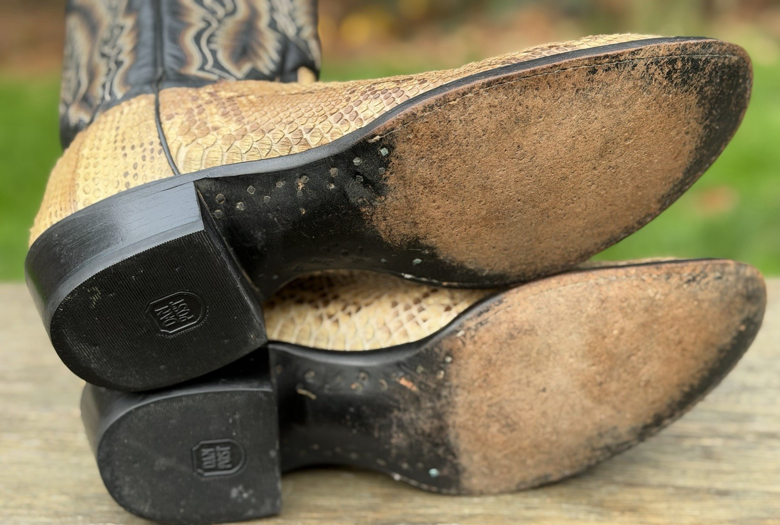 Dan Post Manning Python Snakeskin Western Cowboy … - image 14