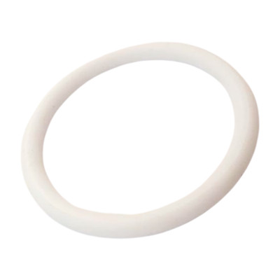 262483 GRACO Dichtung O-Ring für Hochdruckfilter Xtreme Spritzgerät Pumpenfilter