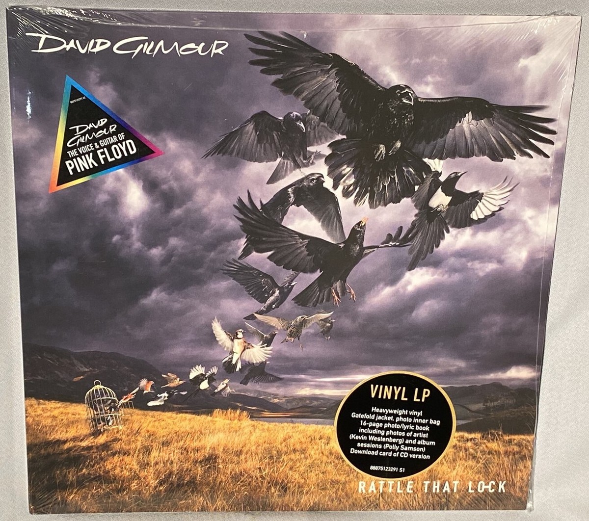 David Gilmour Rattle That Lock レコード LP David Gilmour Rattle That Lock レコード LP LP DAVID GILMOUR