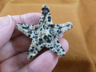Y-STA-560) spotted black white STARFISH gemstone sea star Stone FIGURINE carving
