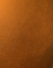 Vinegar Eels (8 Full OZ) Large culture Live Food For Fish Fry