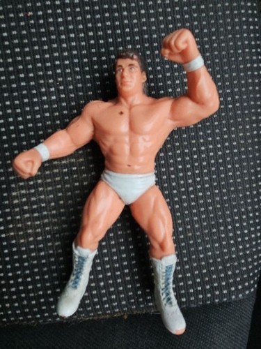 wcw galoob Tom Zenk 1990s Wrestling Figure...