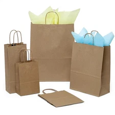 Pack of 5 Eco-Friendly Kraft Gift Bags with Handles Small & Large Shopping Bag
