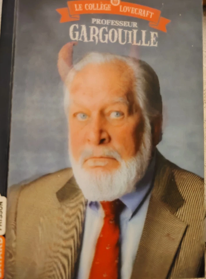 Lot livre de poche Professeur Gargouille - Les énigmes de Naruto Shippuden - Photo 3/4