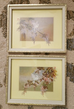 Vintage Framed Bird Floral Prints Set of 2 Asian Inspired Cottage Chic Wall Art